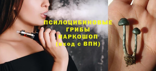 дурь Алексеевка