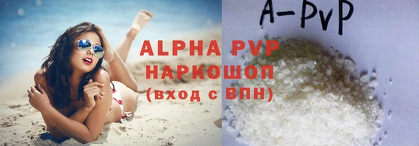 спайс Магас