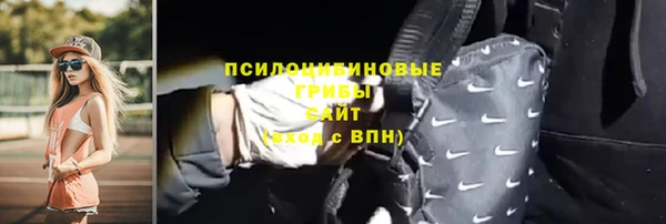 гидра Алзамай